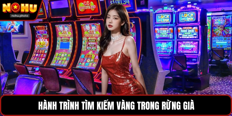 Hành trình tìm kiếm vàng trong rừng già
